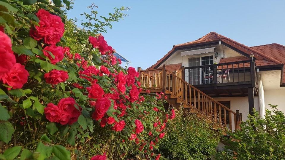 Namhae Frankfurt Pension Esterno foto